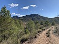Large plot with an incomplete build in Daft on Spain 