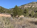 Large plot with an incomplete build in Daft on Spain 