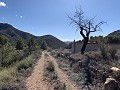 Large plot with an incomplete build in Daft on Spain 