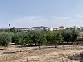Villa met privézwembad, 3 slaapkamers, aparte garage en olijfbomen in Daft on Spain 