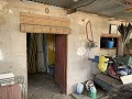 Villa met privézwembad, 3 slaapkamers, aparte garage en olijfbomen in Daft on Spain 