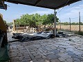 Villa met privézwembad, 3 slaapkamers, aparte garage en olijfbomen in Daft on Spain 