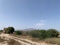Villa met privézwembad, 3 slaapkamers, aparte garage en olijfbomen in Daft on Spain 