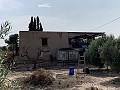 Villa met privézwembad, 3 slaapkamers, aparte garage en olijfbomen in Daft on Spain 
