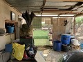 Villa met privézwembad, 3 slaapkamers, aparte garage en olijfbomen in Daft on Spain 