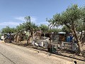 Villa met privézwembad, 3 slaapkamers, aparte garage en olijfbomen in Daft on Spain 