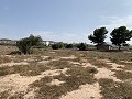 Villa met privézwembad, 3 slaapkamers, aparte garage en olijfbomen in Daft on Spain 
