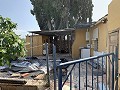Villa met privézwembad, 3 slaapkamers, aparte garage en olijfbomen in Daft on Spain 