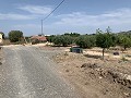 Villa met privézwembad, 3 slaapkamers, aparte garage en olijfbomen in Daft on Spain 