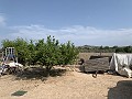 Villa met privézwembad, 3 slaapkamers, aparte garage en olijfbomen in Daft on Spain 