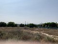 Villa met privézwembad, 3 slaapkamers, aparte garage en olijfbomen in Daft on Spain 