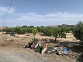 Villa met privézwembad, 3 slaapkamers, aparte garage en olijfbomen in Daft on Spain 