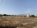 Villa met privézwembad, 3 slaapkamers, aparte garage en olijfbomen in Daft on Spain 