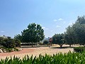 Apartamento en planta baja con fabulosas vista in Daft on Spain 