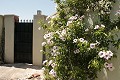 Lovely 3 Bed 2 Bath Villa in Abanilla. in Daft on Spain 