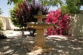 Lovely 3 Bed 2 Bath Villa in Abanilla. in Daft on Spain 