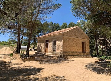 Preciosa finca de 4 dormitorios y 1 baño fuera de la red en Almansa.