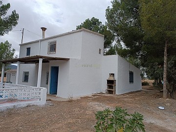 Lovely 5 Bed 2 Bath Country house with Pool in Yecla.