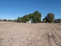 Lovely 5 Bed 2 Bath Country house with Pool in Yecla. in Daft on Spain 