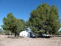 Lovely 5 Bed 2 Bath Country house with Pool in Yecla. in Daft on Spain 