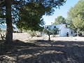 Lovely 5 Bed 2 Bath Country house with Pool in Yecla. in Daft on Spain 