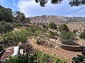 Wonderful Country House with Incredible Mountain Views in Petrer in Daft on Spain 