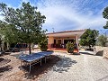 Wonderful Country House with Incredible Mountain Views in Petrer in Daft on Spain 