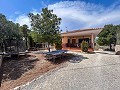 Wonderful Country House with Incredible Mountain Views in Petrer in Daft on Spain 