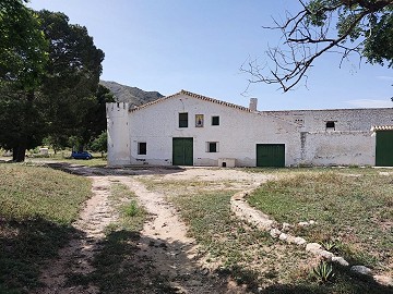 Belle maison de campagne de 6 chambres et 1 salle de bain à Yecla.