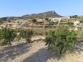 Lovely 3 Bedroom 2 Bathroom Villa in Fortuna. in Daft on Spain 