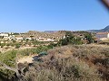 Lovely 3 Bedroom 2 Bathroom Villa in Fortuna. in Daft on Spain 