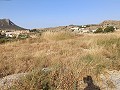 Lovely 3 Bedroom 2 Bathroom Villa in Fortuna. in Daft on Spain 