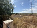 Lovely 4 bed 1 Bath Villa in Villena. in Daft on Spain 