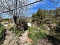 Pretty Country Home in Daft on Spain 