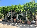 Pretty Country Home in Daft on Spain 