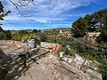 Pretty Country Home in Daft on Spain 