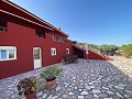 ¡Maravillosa villa de 5 dormitorios y 4 baños en Encebras (Pinoso) con hermosas vistas! in Daft on Spain 