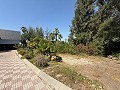 Exklusive Villa mit 4 Schlafzimmern und 3 Bädern in Loma Bada Petrer. in Daft on Spain 