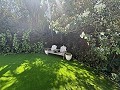 Exklusive Villa mit 4 Schlafzimmern und 3 Bädern in Loma Bada Petrer. in Daft on Spain 