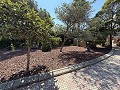 Exklusive Villa mit 4 Schlafzimmern und 3 Bädern in Loma Bada Petrer. in Daft on Spain 