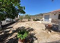 Villa mit 3 Schlafzimmern und 2 Bädern sowie Gästehaus mit 3 Schlafzimmern und 1 Bad in Salinas. in Daft on Spain 