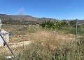 Villa mit 3 Schlafzimmern und 2 Bädern sowie Gästehaus mit 3 Schlafzimmern und 1 Bad in Salinas. in Daft on Spain 
