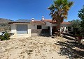 Villa mit 3 Schlafzimmern und 2 Bädern sowie Gästehaus mit 3 Schlafzimmern und 1 Bad in Salinas. in Daft on Spain 