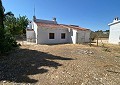 Villa mit 3 Schlafzimmern und 2 Bädern sowie Gästehaus mit 3 Schlafzimmern und 1 Bad in Salinas. in Daft on Spain 
