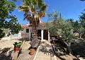 Villa mit 3 Schlafzimmern und 2 Bädern sowie Gästehaus mit 3 Schlafzimmern und 1 Bad in Salinas. in Daft on Spain 