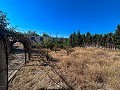 Large Country House with Pool and Annex in Sax in Daft on Spain 