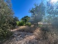 Large Country House with Pool and Annex in Sax in Daft on Spain 
