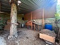 Large Country House with Pool and Annex in Sax in Daft on Spain 