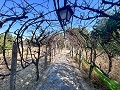 Large Country House with Pool and Annex in Sax in Daft on Spain 