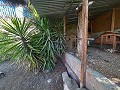 Large Country House with Pool and Annex in Sax in Daft on Spain 
